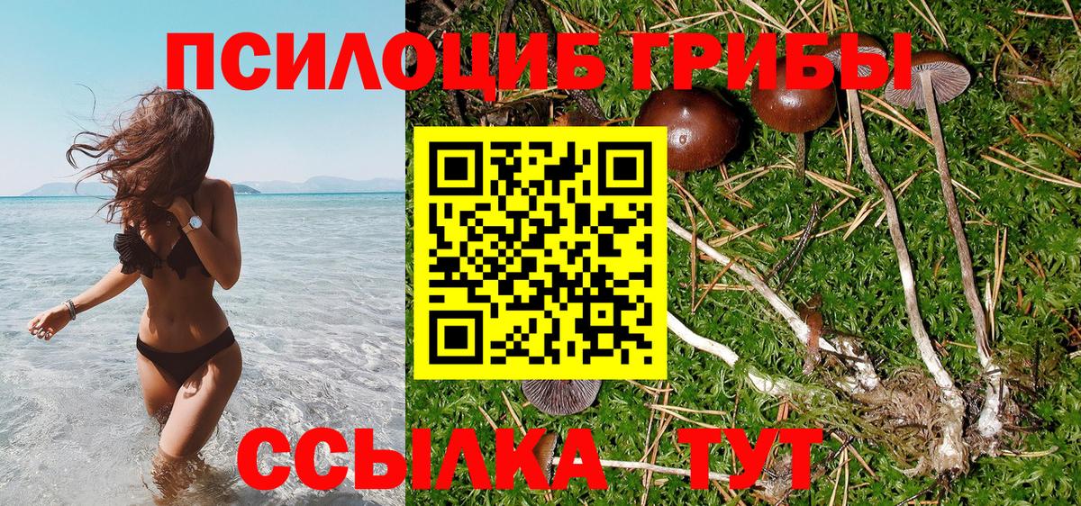 Северобайкальск  Галлюциногенные грибы GOLDEN TEACHER  Вход с VPN 